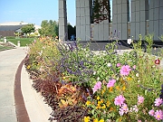 Western Michigan [2009] 225